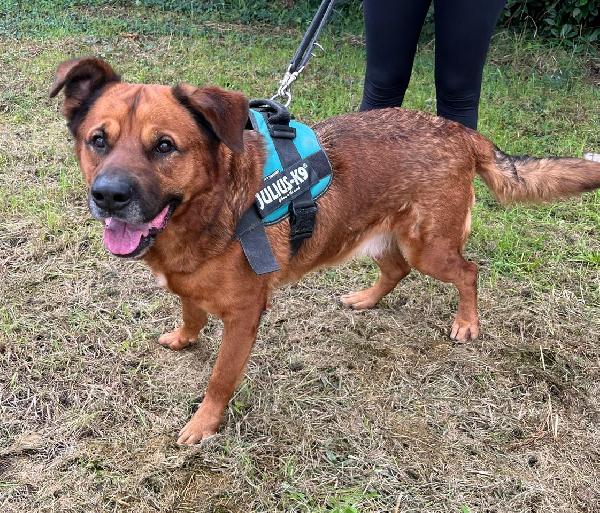 Jonas Una Casa Per Lui